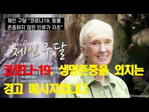 코로나-19, 생명존중을 외치는 경고 메시지입니다