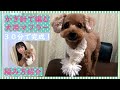 かぎ針で編む 犬用 マフラー 手編み 犬小物 トイプードル 愛犬家