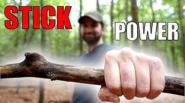 How to Measure Tree Height With Just a Stick!