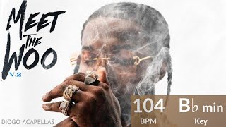 Pop Smoke - Foreigner (Acapella - Vocals Only) Ft. A Boogie Wit Da Hoodie
