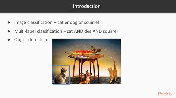 Hands-On Machine Learning with Auto-Keras : Object Detection Basics | packtpub.com