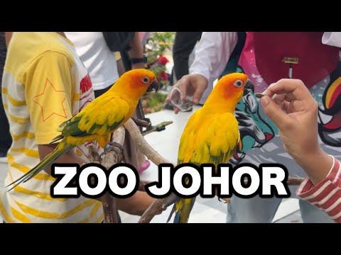 Let's Visit Zoo