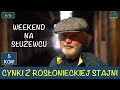 Cynki z rosonieckiej stajni 5 i 6 dzie wycigowy tor suewiec