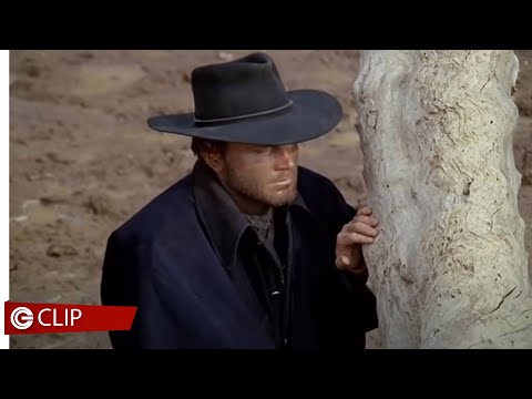 Django – La sorpresa dentro la bara