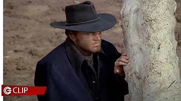 Chi è la moglie di Franco Nero?