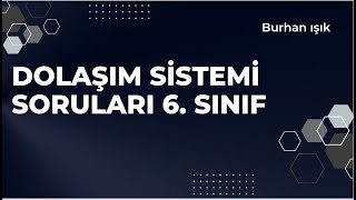 6. Sinif Dolaşim Si̇stemi̇ Sorulari