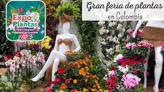 EXPOPLANTAS 2023 COLOMBIA | Plantas en tendencia en feria de viveristas