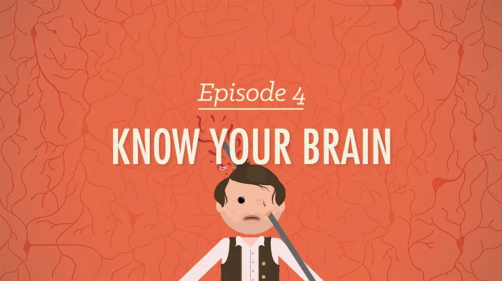 Meet Your Master - Getting to Know Your Brain: Crash Course Psychology #4 - DayDayNews