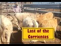 Last of the Corrientes