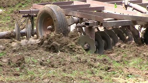 Planting Micro Food Plots for Deer