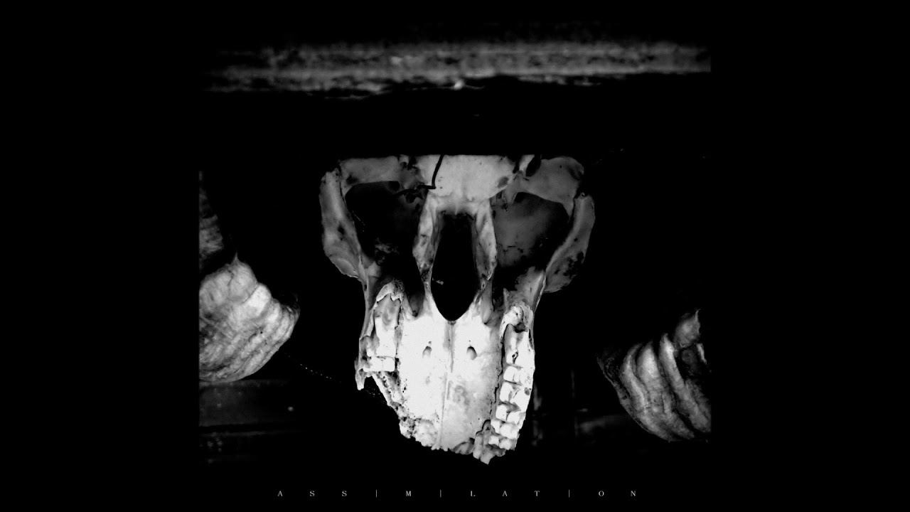 LORN EVERYTHING IS VIOLENCE CG