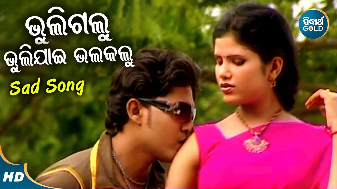 Bhuligalu Bhulijai Bhalakalu  Sad Album Song  Udit Narayan      Sidharth Music