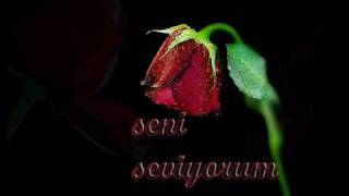 Müslüm Gürses Küstüm  (CeylaniM76)