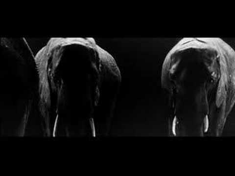 Intro Video