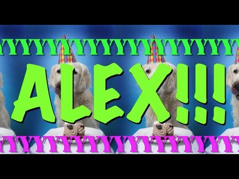 Happy Birthday Alex! - Epic Happy Birthday Song