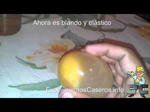 El huevo saltarín - Ósmosis (Experimentos Caseros)