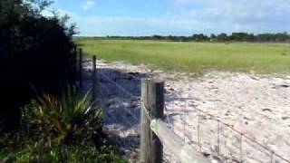 102 SUNBURST ROAD, VENUS FLORIDA 10+ ACRES FARM FOR RENT/LEASE/SALE