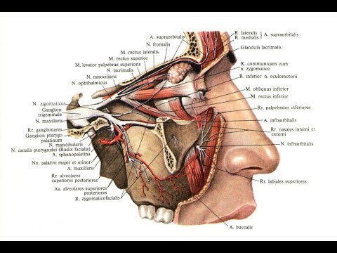 Скрипит глаз - что делать? The eye squeaks - what to do?