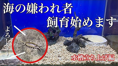 ひぐらしなまず Youtube ひぐらしなまず Youtube