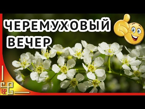 Добрый вечер! Под окном черемуха колышется. Музыкальная открытка с добрым вечером