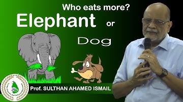 Prof. SULTHAN AHAMED ISMAUL - Prat 1 (Tamil)