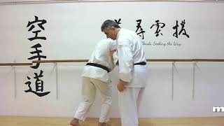 uchi uke gyakuzuki Bunkai Strategies 2019 week 13 koryu karate oyo jutsu