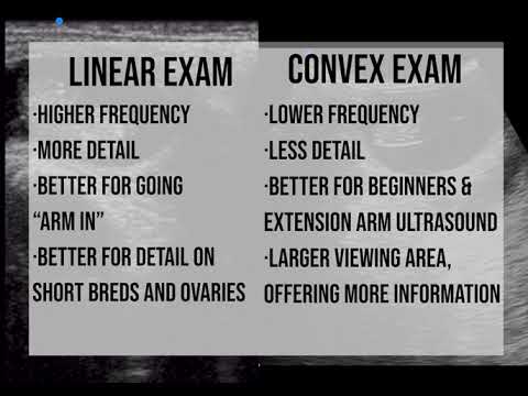 Convex vs. Linear