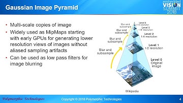 Polymorphic Technologies