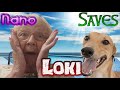 Nano Saves Loki