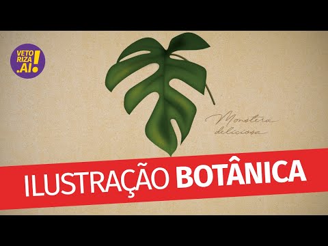 Vídeo: Fazendo desenhos botânicos: como criar sua própria ilustração botânica