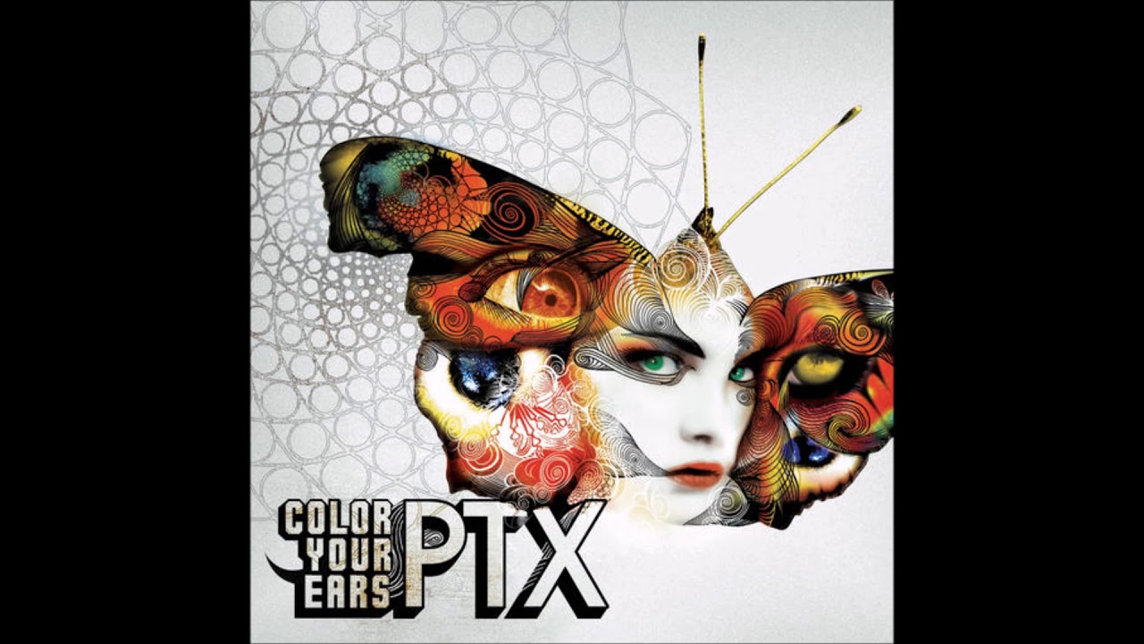 PTX vs Ophir Leibovich - Alufa