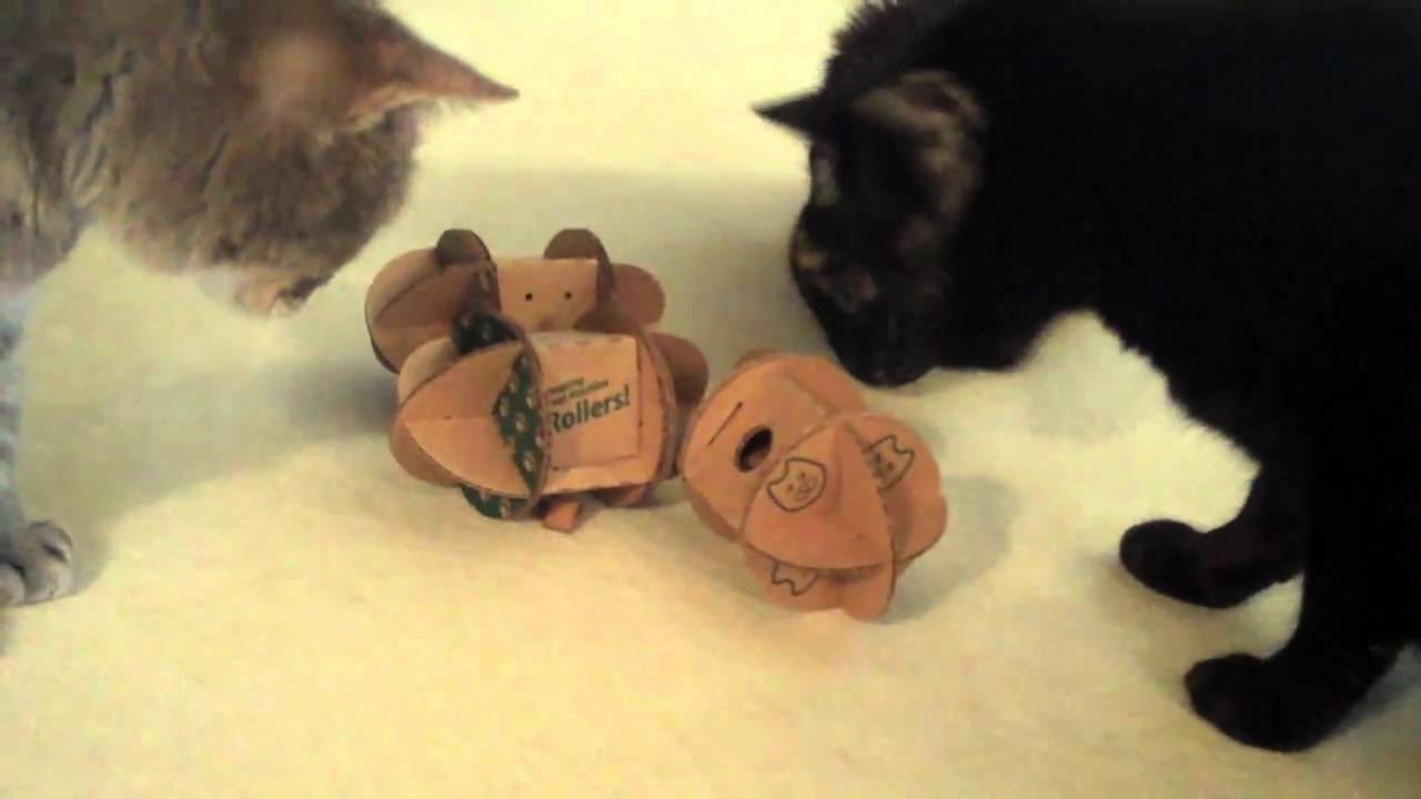 Amazing Treat Machine Rollers Cat Toys YouTube