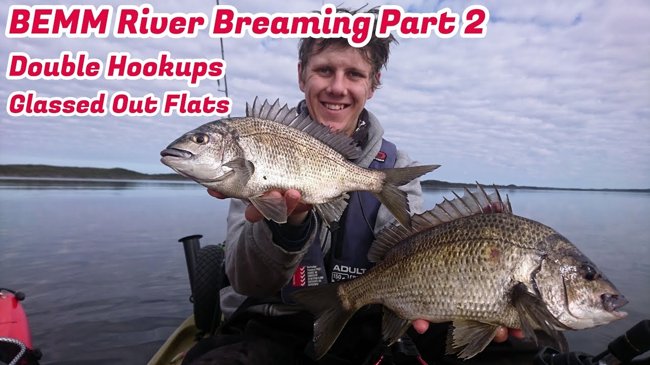 Catching Bemm River Bream in Winter - YouTube