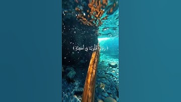سورة_فصلت🤍اكتب شيء تؤجر عليه ❤