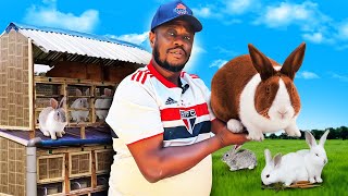 He Turned His Passion for ANIMALS into a Profitable RABBIT FARM in Nigeria