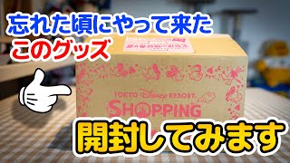 【新品・未開封】THE DISNEY KEEPSAKES 忘れた頃に届いたグッズを開封!! / 東京ディズニーリゾート - YouTube