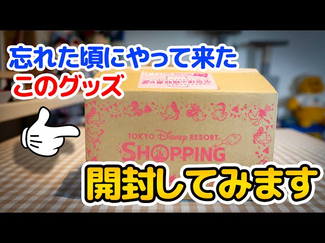 匿名配送】未開封品THE DISNEY KEEPSAKES 忘れた頃に届いたグッズを