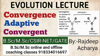 Convergence | Adaptive convergent