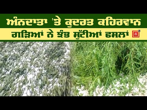 .Abohar ਦੇ ਪਿੰਡ ਬਣੇ Shimla, ਵੇਖੋ ਕਿਵੇਂ ਗੜ੍ਹਿਆਂ ਨਾਲ ਚਿੱਟੀਆਂ ਹੋਈਆਂ ਸੜਕਾਂ