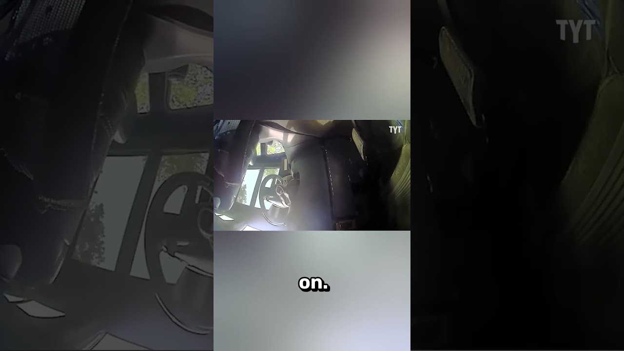 Unlawful Stop and Assault