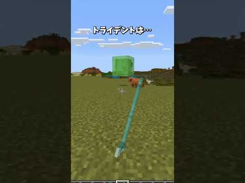 トライデントの秘密 #shorts  #マインクラフト #minecraft