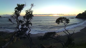 How To Crash Your DJI Phantom Into A Tree - A Step By Step Guide