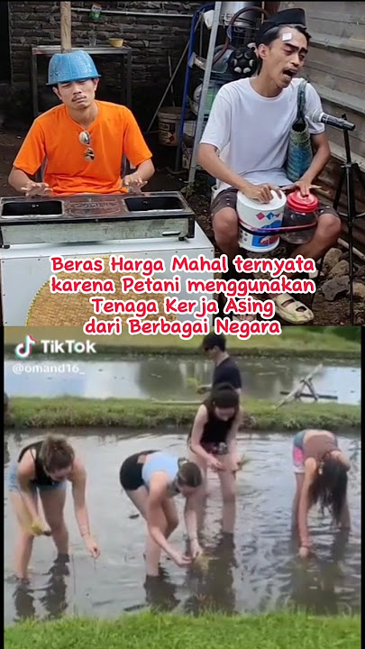 Ternyata ini Harga Beras Mahal #shorts #parodi #lucu #hargamahal #hargaberas #fyp #padi #petani