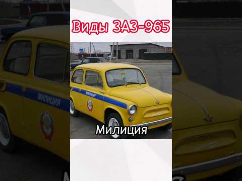 Разновидности ЗАЗ-965 #врек #zaz #запорожец #965 #shorts #тётязина