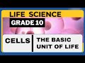 Life Science Grade 10 | The Cell Structure