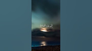 #القارئ_سعد_الغامدي #قران_كريم #waheed_hamed #xeplore