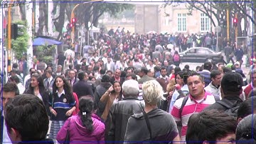 AllGoVision Face Recognition