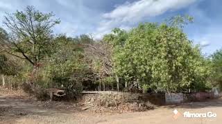 Visita Huehuepiaxtla l,Mexico !!