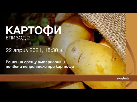 Видео: Алтернария цвекло