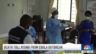 Infectious disease doctor explains Ebola risk in Chicago
